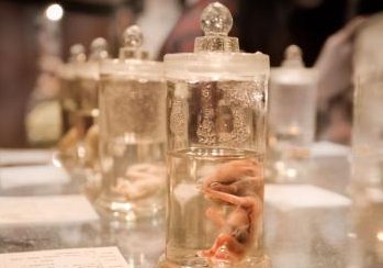 在山西省，三代试管婴儿生育医院所需费用约十万，是否足够？