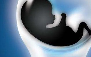 沈阳市第三代试管婴儿全程费用大揭秘，费用构成清晰明了，让您消费心中有数