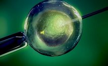 广西妇幼保健院三代试管多少费用？附费用明细情况