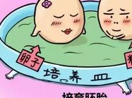 2026泰安三代试管婴儿选胚胎生子价格全解析，费用明细一览无遗