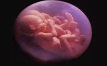 哈萨克斯坦IRM医院三代试管号技术全面解析