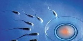 做试管助孕选身高高的多少钱？附费用明细