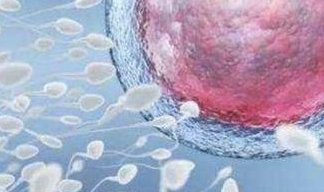 内蒙古做试管有吗？2026年试管婴儿医院条件多少钱？