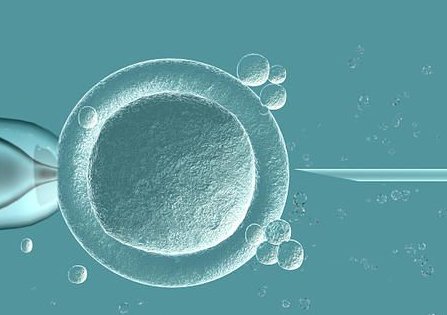 泰国做三代试管婴儿的价格是多少钱？