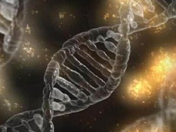 广东正规助孕咨询生宝宝服务，东莞专业试管助孕公司